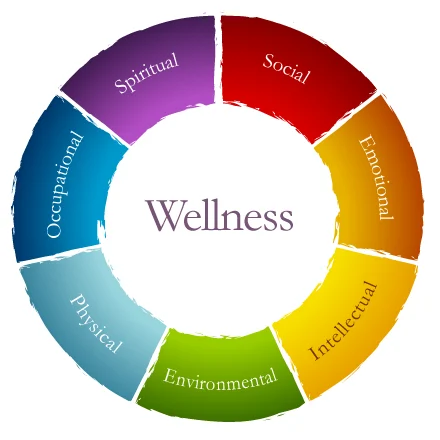 Vidya Wellness Centre